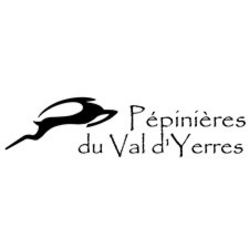 Pépinière  Chevry-Cossigny, Seine et Marne Pépinière du Val d’Yerres