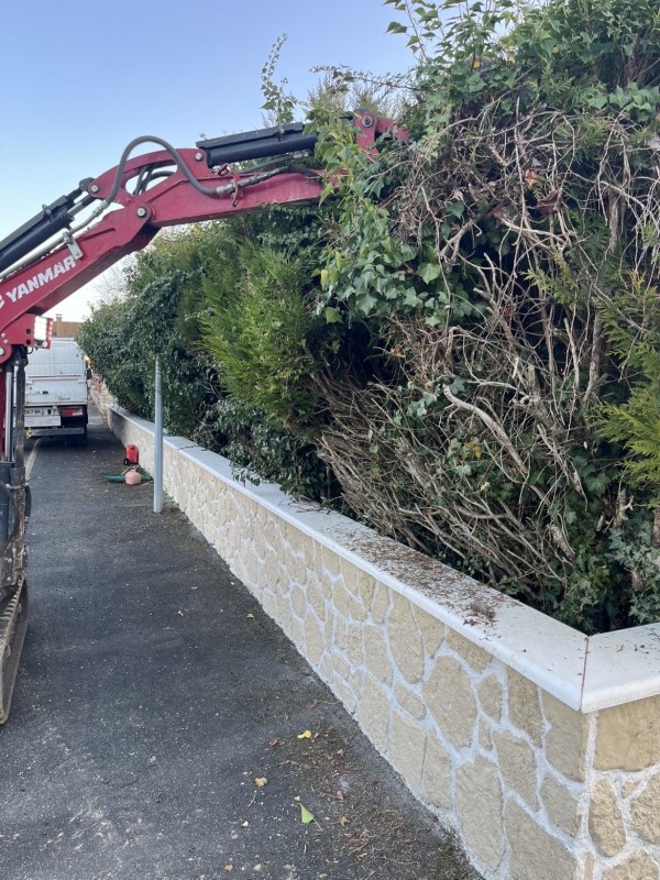 Enlèvement d’une haie de thuyas à Vert-Saint-Denis, Seine et Marne