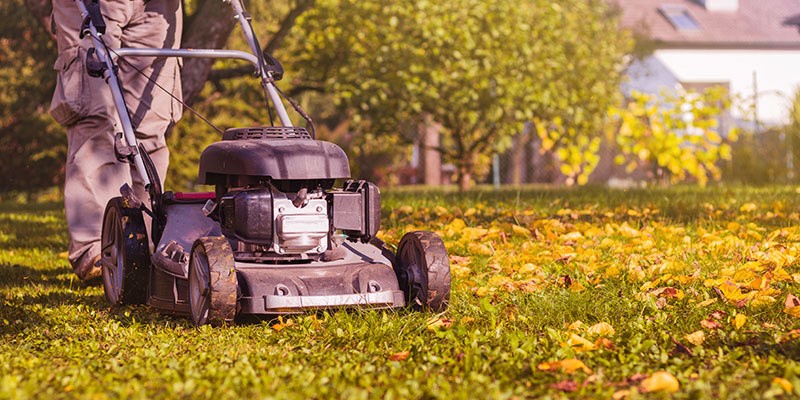 Entretien de jardin par une entreprise paysagiste proche de Melun, Seine et Marne , 77
