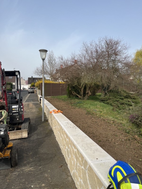 Enlèvement d’une haie de thuyas à Vert-Saint-Denis, Seine et Marne