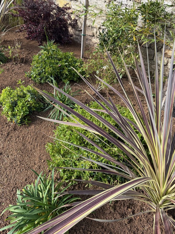 Réalisation d’un massif avec plantations à Melun, Seine et Marne (77)